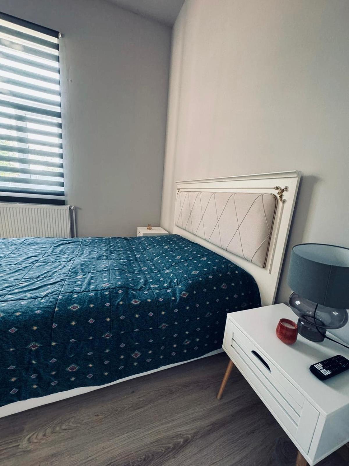 Serbian House Bed and Breakfast Timisoara Exterior foto