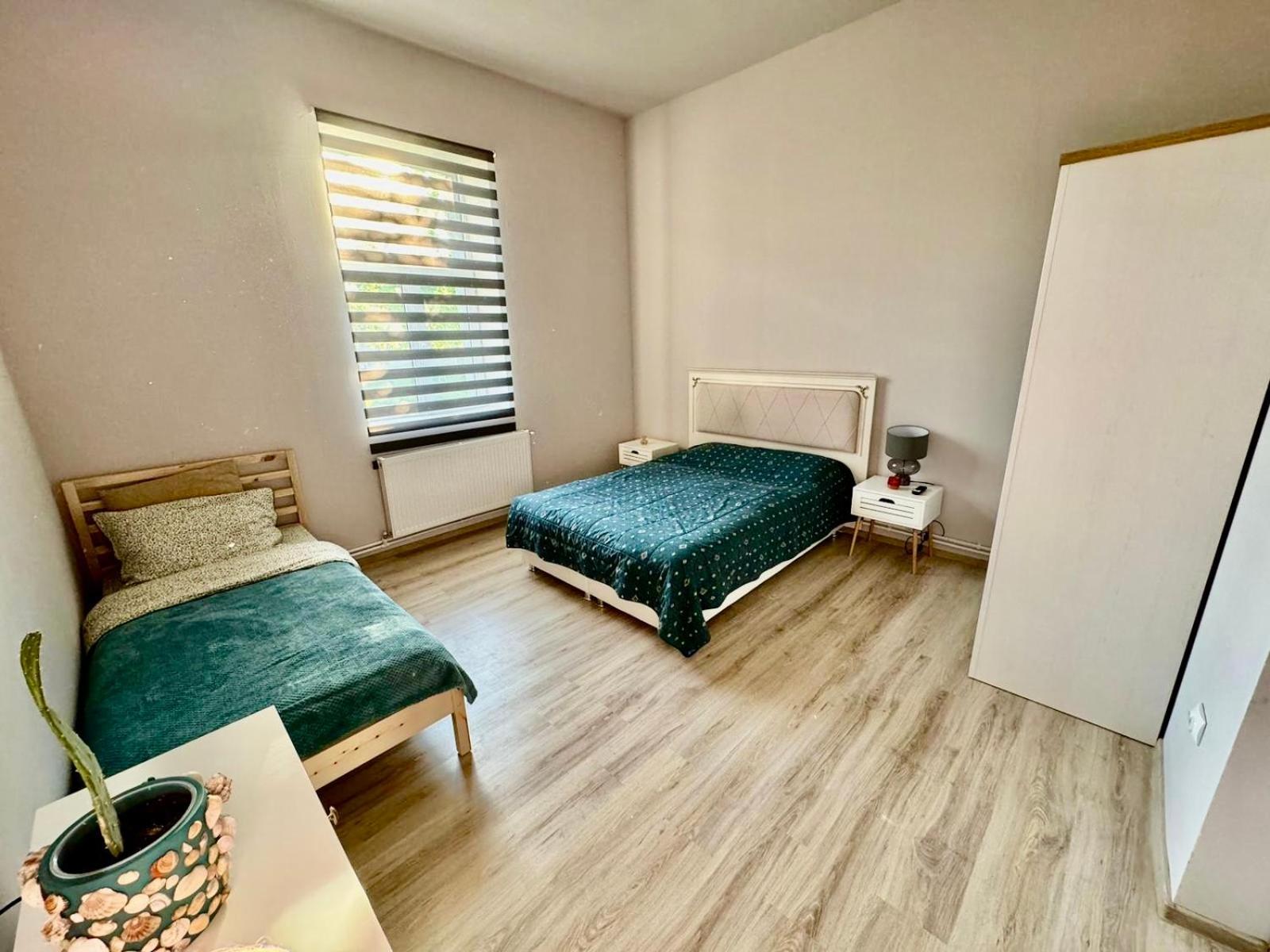 Serbian House Bed and Breakfast Timisoara Exterior foto