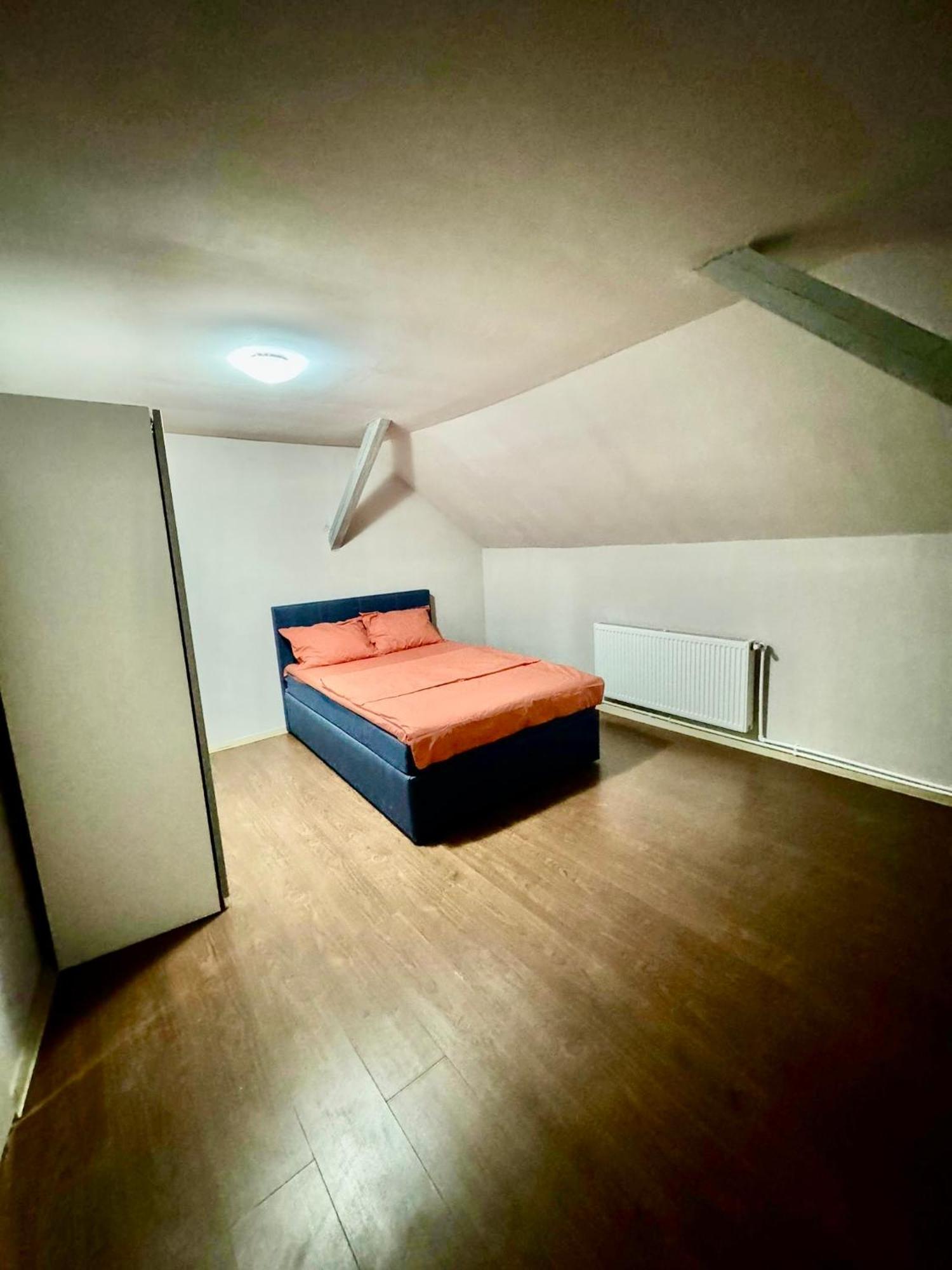 Serbian House Bed and Breakfast Timisoara Exterior foto