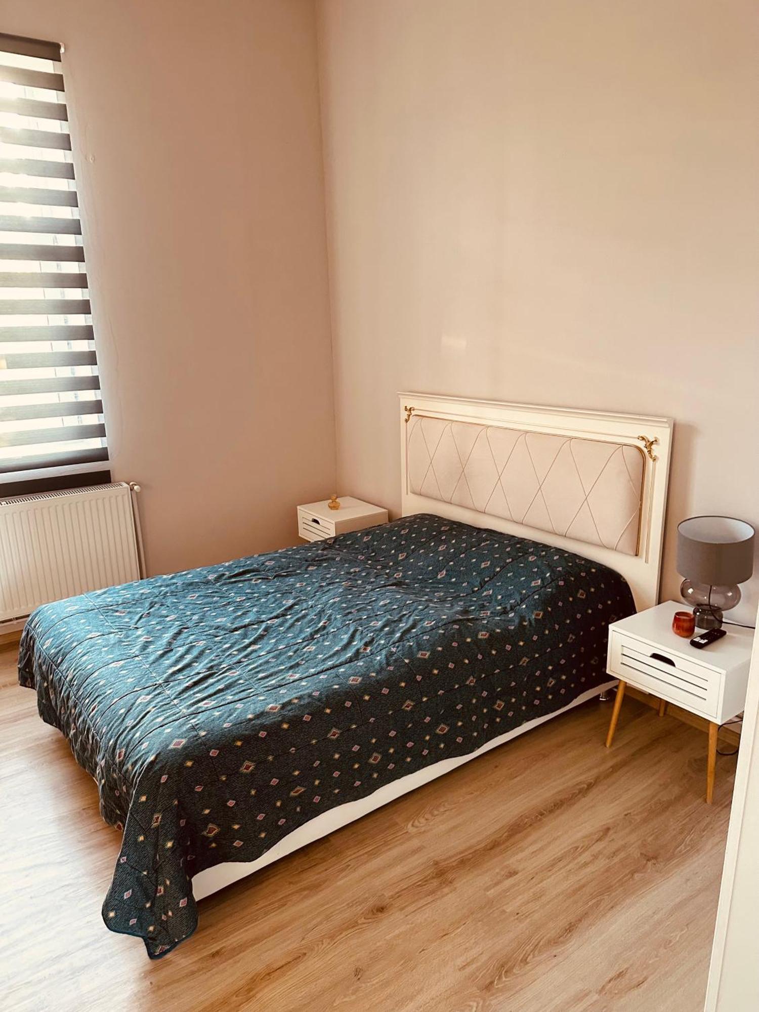 Serbian House Bed and Breakfast Timisoara Exterior foto