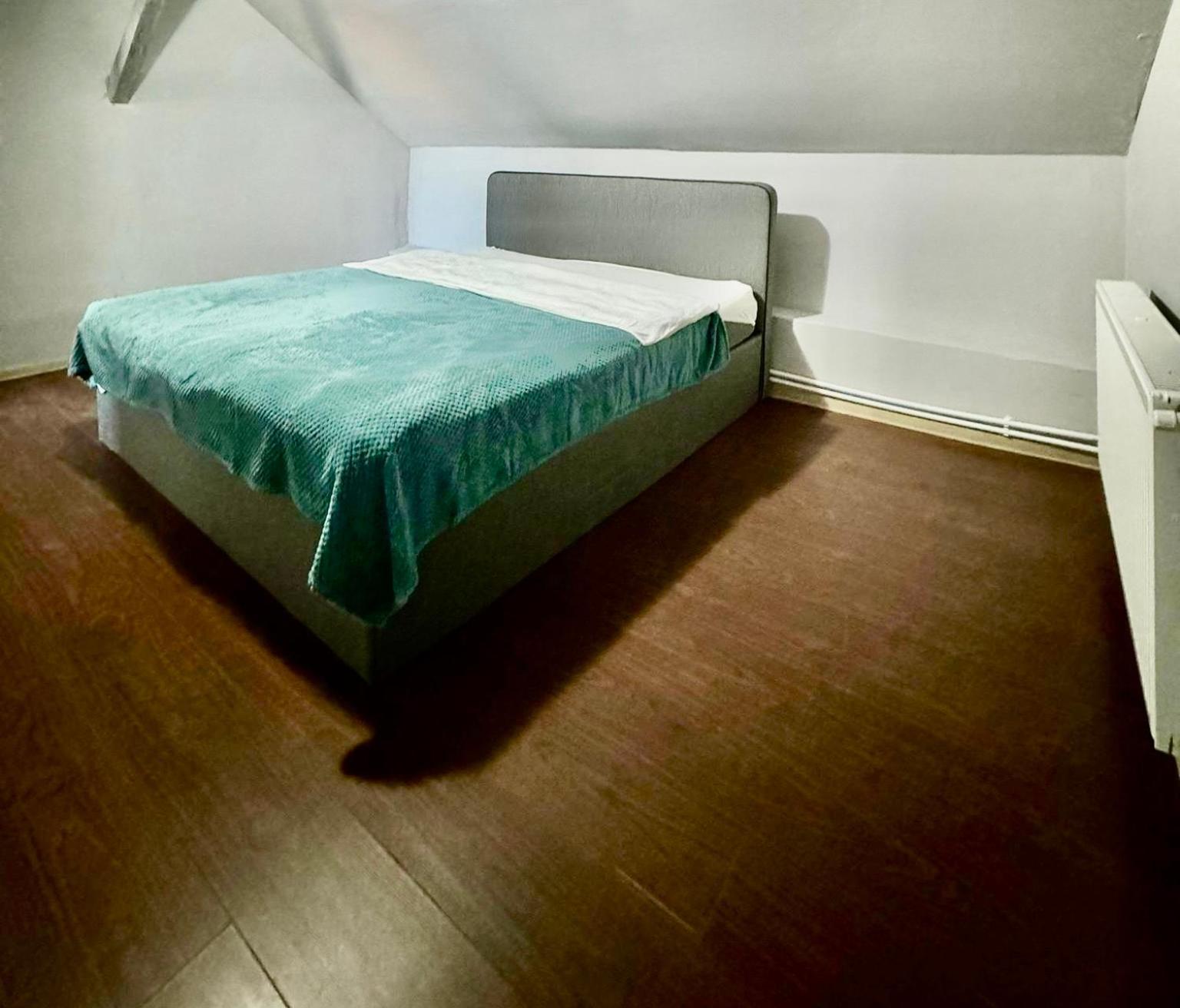 Serbian House Bed and Breakfast Timisoara Exterior foto