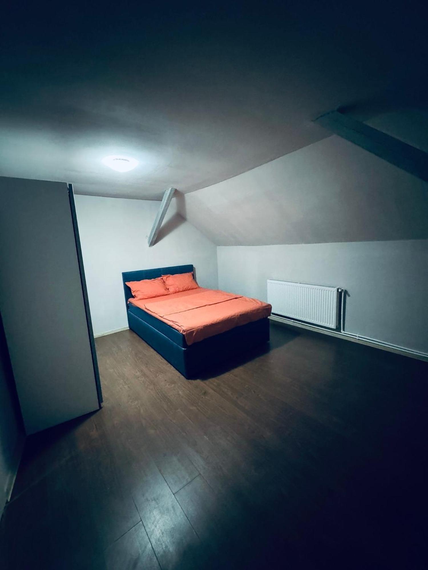 Serbian House Bed and Breakfast Timisoara Exterior foto